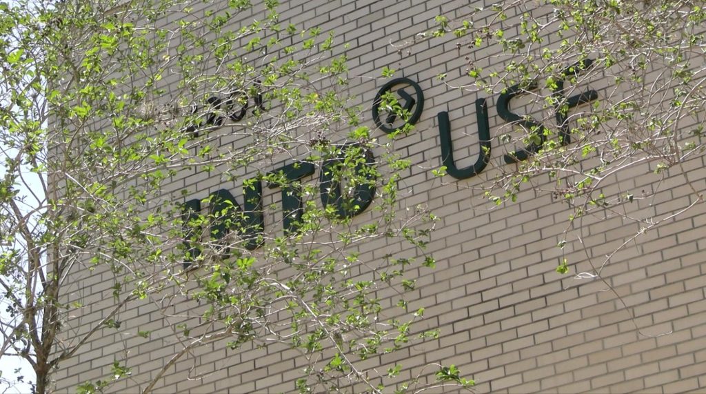 Picture of side of beige bricked building. Has the INTO USF logo.